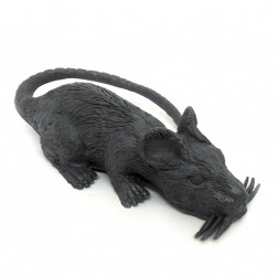 Rato grande - Artigos para o halloween
