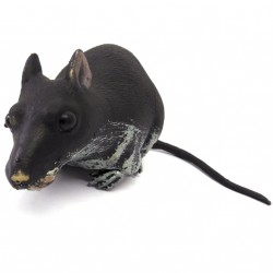 Ratazana grande - Artigos de Halloween