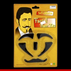 Kit de pelos faciais para o carnaval - Artigos de carnaval